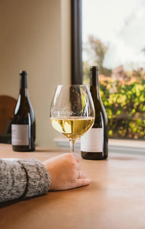 stemware, drinkware, tableware, alcoholic drink, wine glass, barware
