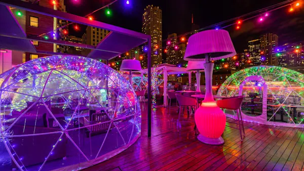 purple, light, plant, decoration, lighting, entertainment