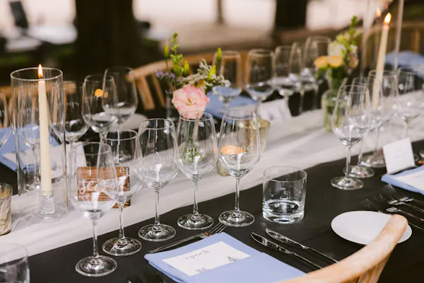 tableware, furniture, table, drinkware, stemware, plant