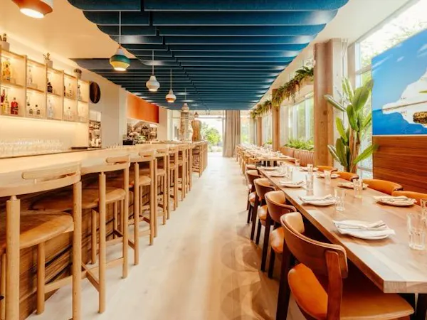 furniture, property, table, shelf, plant, chair