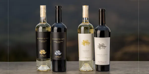bottle, alcoholic drink, glass bottle, alcohol, wine bottle, liquid