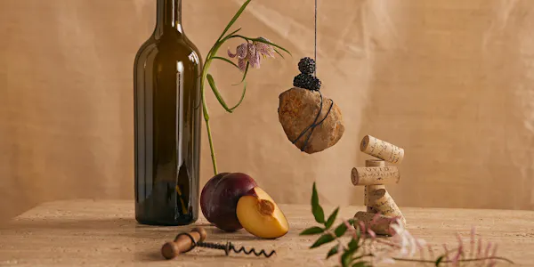produce, bottle, fruit, cork, glass bottle, ingredient