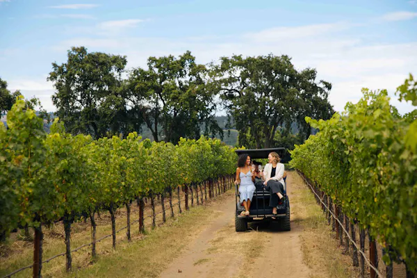 people in nature, spring, leisure, agriculture, plantation, vineyard