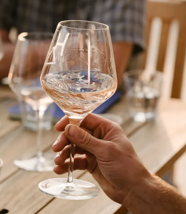 tableware, stemware, drinkware, food, wine glass, barware