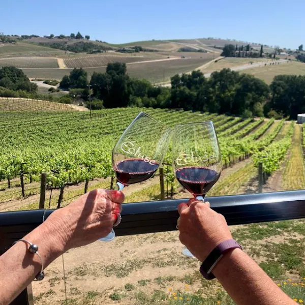 sky, plant, hand, drinkware, stemware, wine