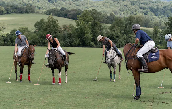 horse, stick and ball sports, bridle, team sport, splint boots, equestrian helmet