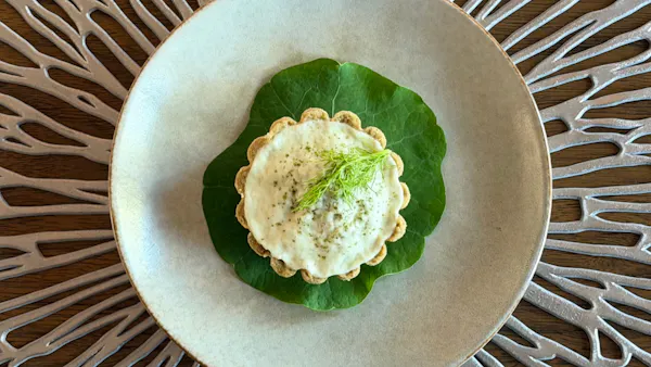 food, dishware, tableware, ingredient, serveware, plate