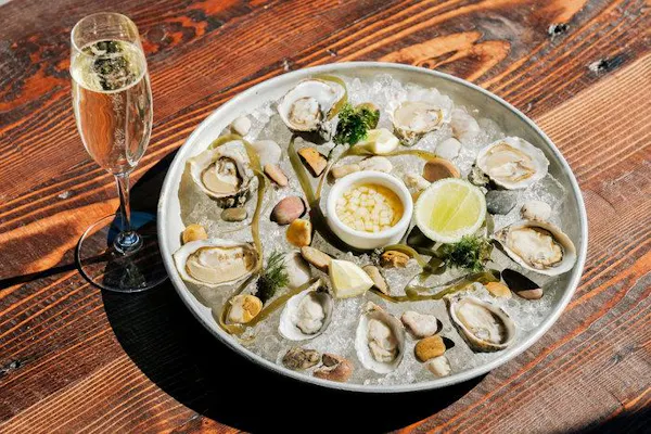 dish, food, oyster, cuisine, clam, seafood
