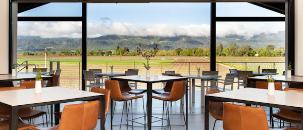restaurant, kitchen & dining room table, chair, shade, cafeteria