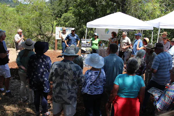 community, tree, event, crowd, botany, adaptation