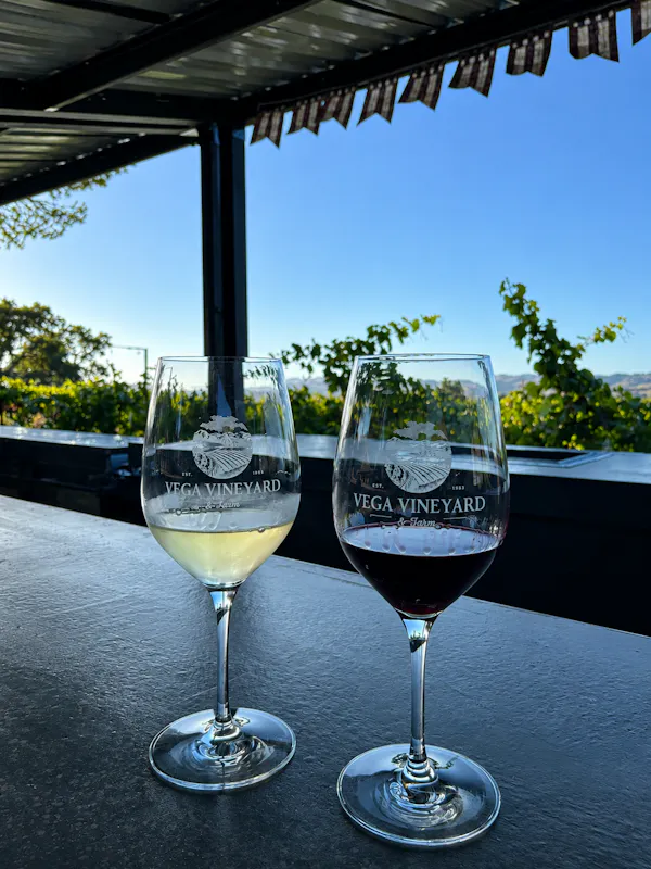drinkware, stemware, alcoholic drink, dessert wine, barware, champagne glass