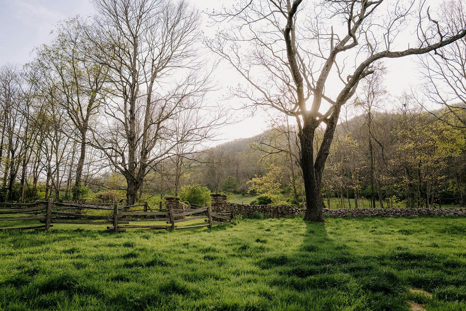 Troddenvale