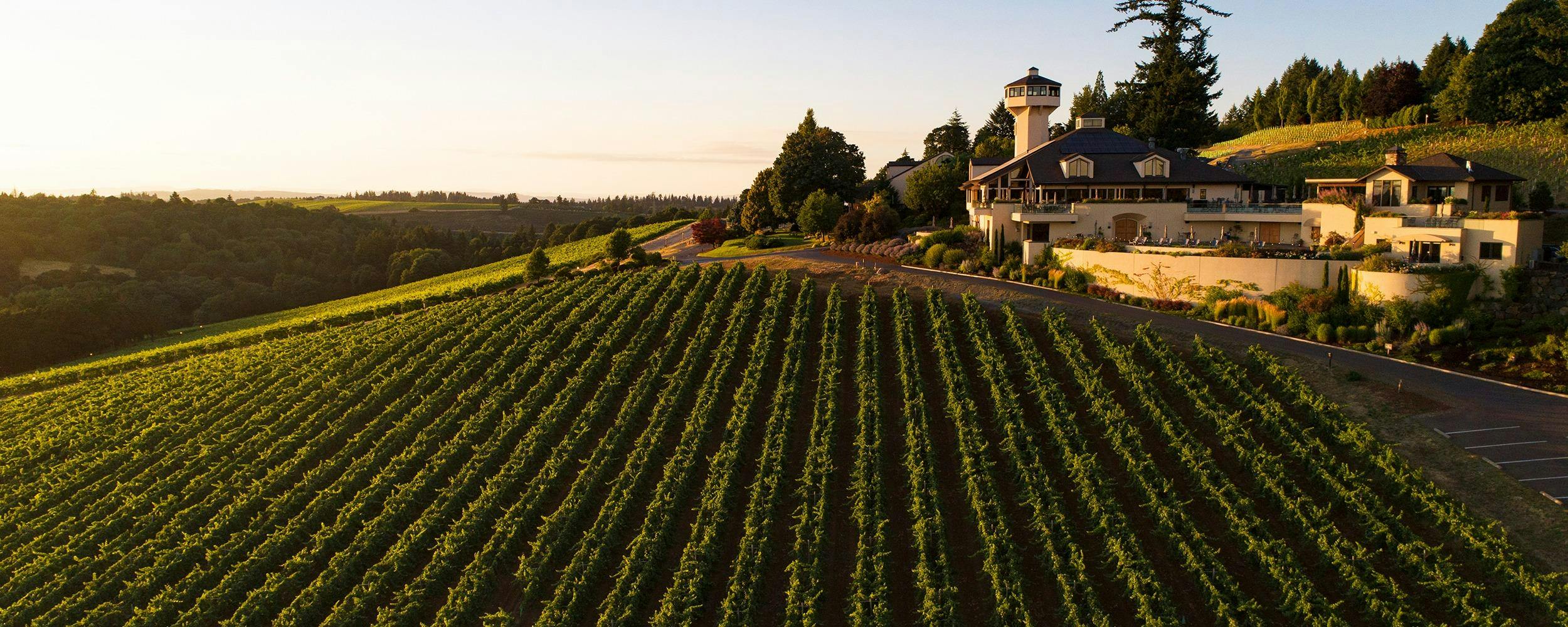 Willamette Valley Vineyards