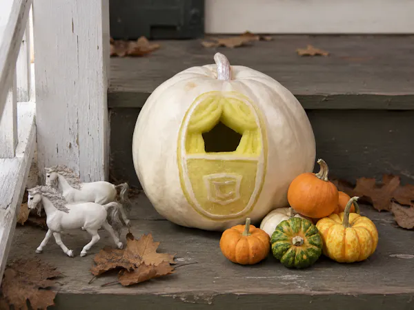produce, pumpkin, calabaza, vegetable, winter squash, squash