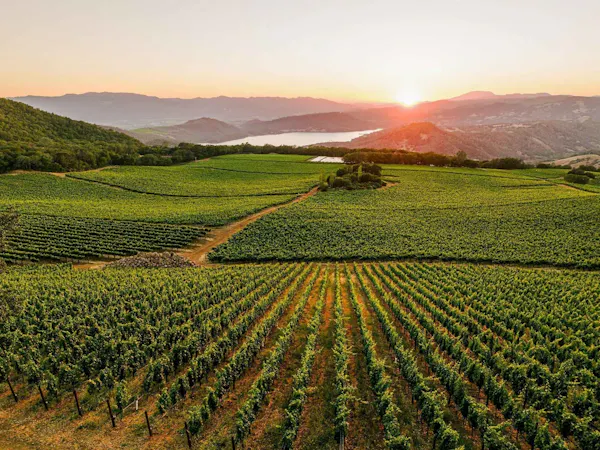 agriculture, mountainous landforms, hill, plantation, natural landscape, field