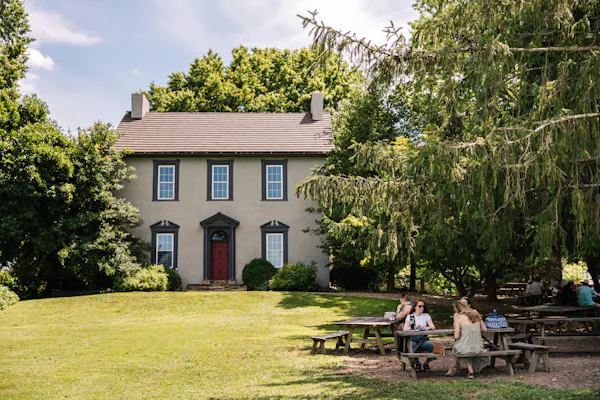 shrub, leisure, garden, lawn, yard, landscaping