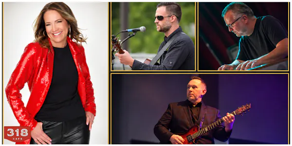 audio equipment, electronic device, entertainment, performing arts, microphone, performance