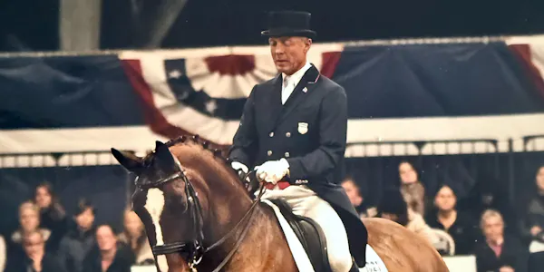 horse, formal wear, bridle, horse tack, english riding, horse supplies