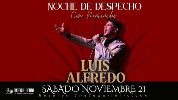 chordophone, entertainment, performing arts, performance, stage, musician