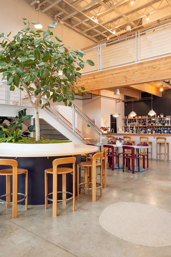 restaurant, ceiling, light fixture, cafeteria, chair, houseplant