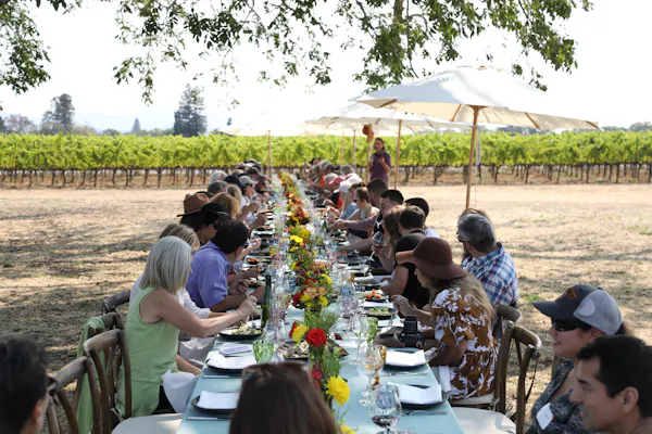 agriculture, chair, food, party, sunglasses