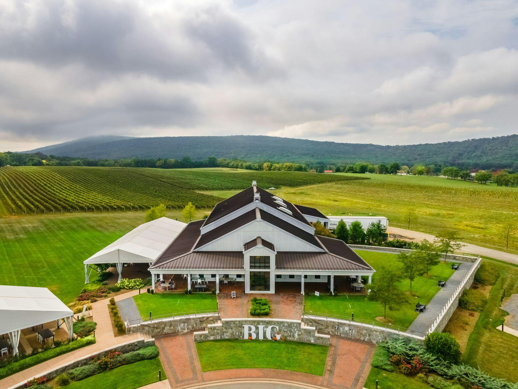 BIG Cork Vineyards