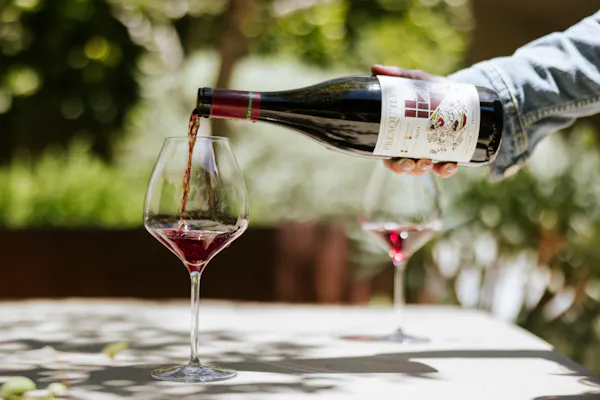 stemware, drinkware, tableware, alcoholic drink, alcohol, wine glass