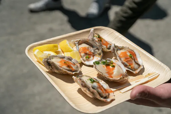 food, tableware, oyster, ingredient, bivalve, recipe
