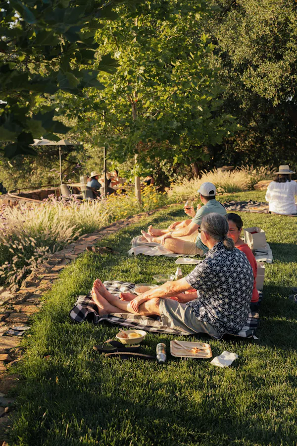 recreation, summer, picnic, leisure, outdoor recreation, people in nature