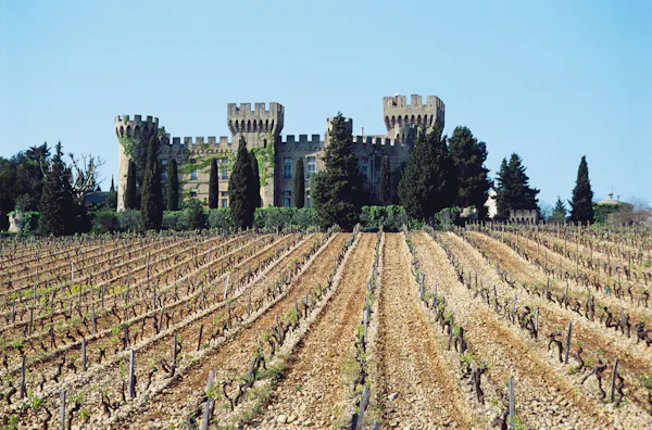 plantation, agriculture, vineyard
