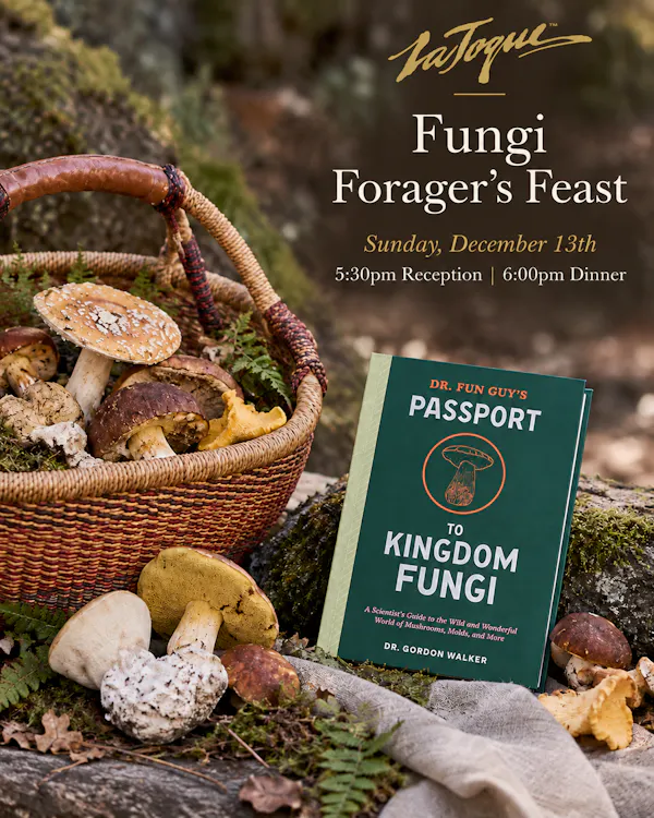 publication, book, book cover
