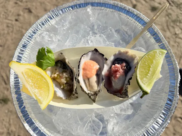 food, tableware, seafood, oyster, ingredient, lemon