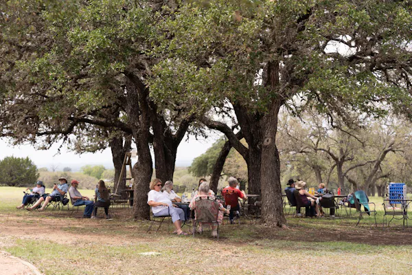 tree, recreation, plain, leisure, trunk, people in nature
