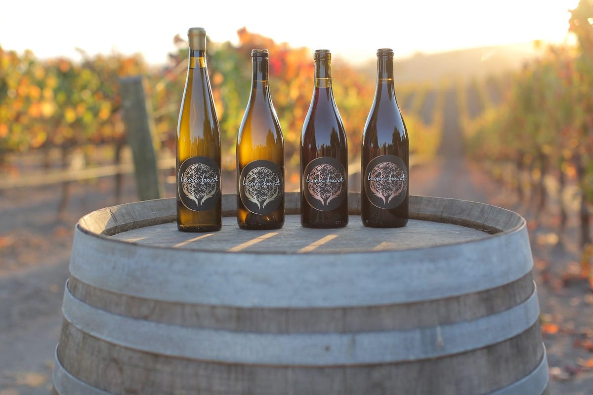 Pasta Bar Los Angeles, CA Tock