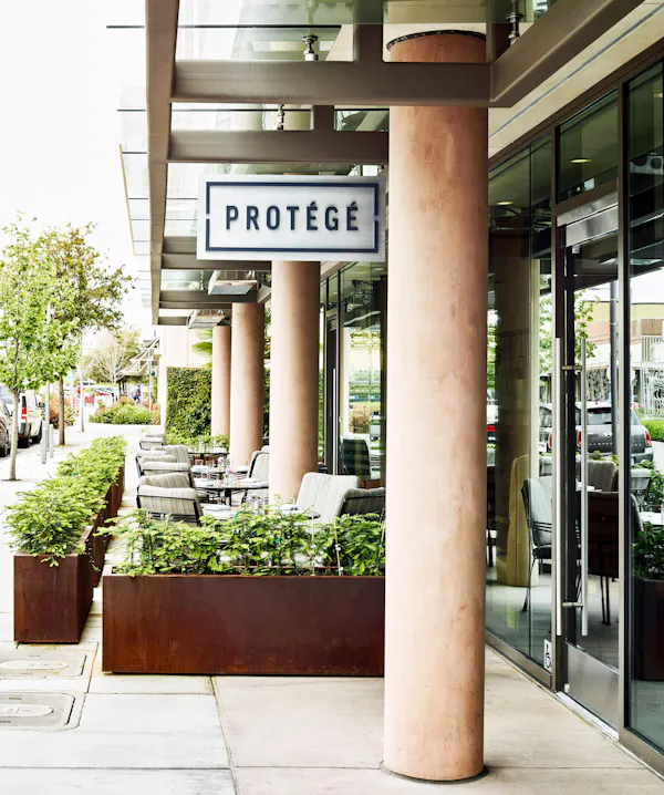 plant, building, shade, sidewalk, urban design, tree