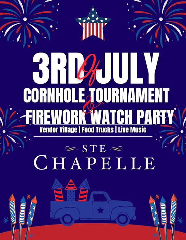 fireworks, logo, holiday, new year, independence day, new year's eve