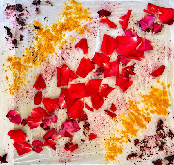 red, orange, petal, stain, paint, watercolor painting