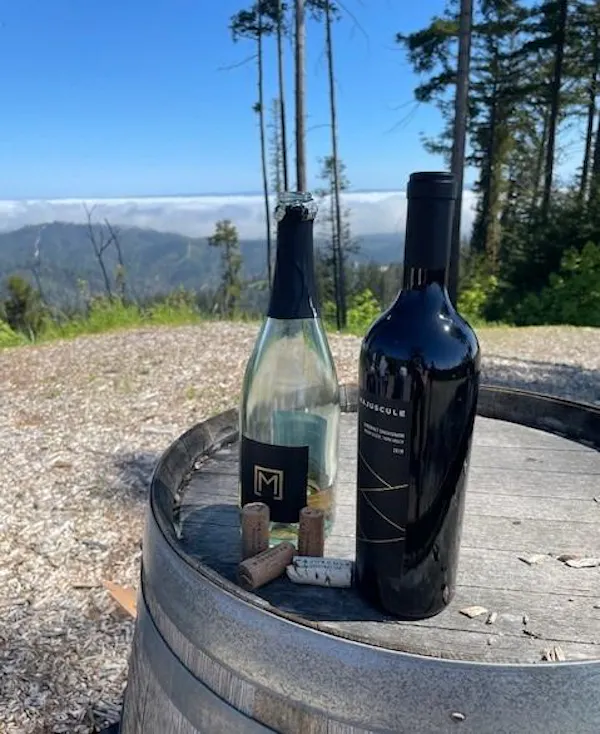 sky, bottle, plant, liquid, drinkware, wine