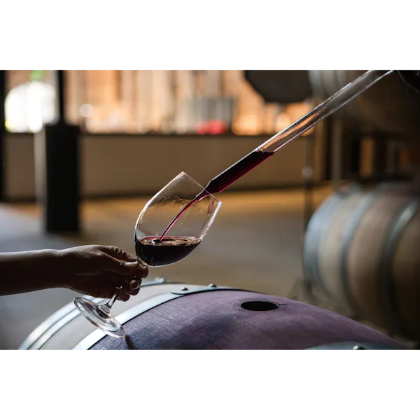 alcoholic drink, stemware, drinkware, alcohol, red wine, liquid