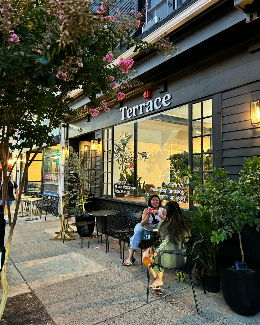 Terrace Plant Shop - Westfield, NJ