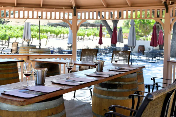 furniture, table, wood, chair, plant, shade