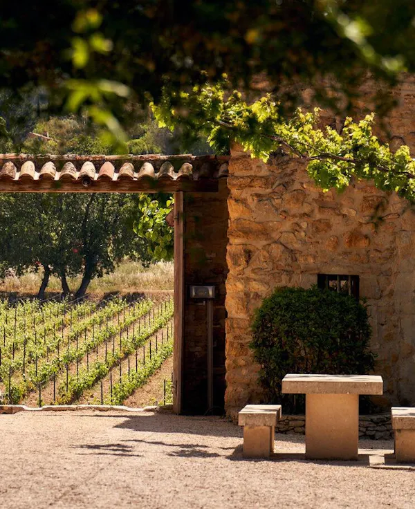 shade, garden, soil, landscaping, plantation, grapevines