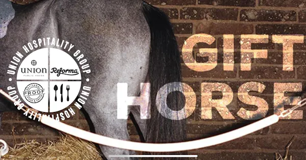 horse, horse supplies, working animal, snout, mane, livestock