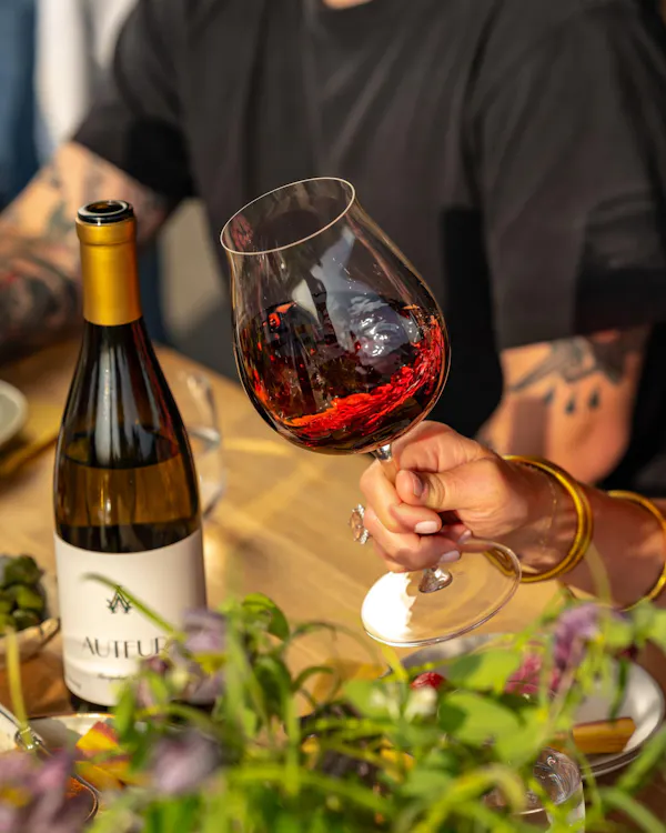 stemware, tableware, drinkware, alcoholic drink, wine glass, alcohol