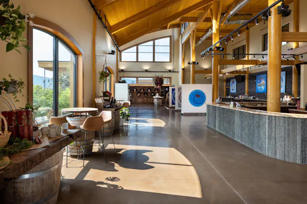 plant, property, furniture, couch, houseplant, building