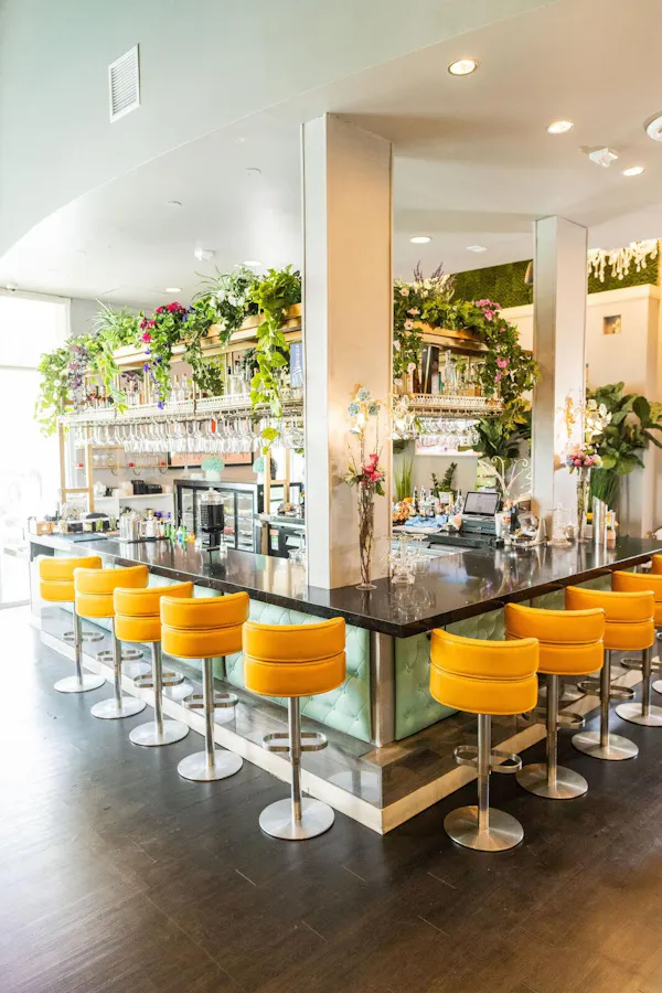 plant, furniture, chair, houseplant, flooring, floor