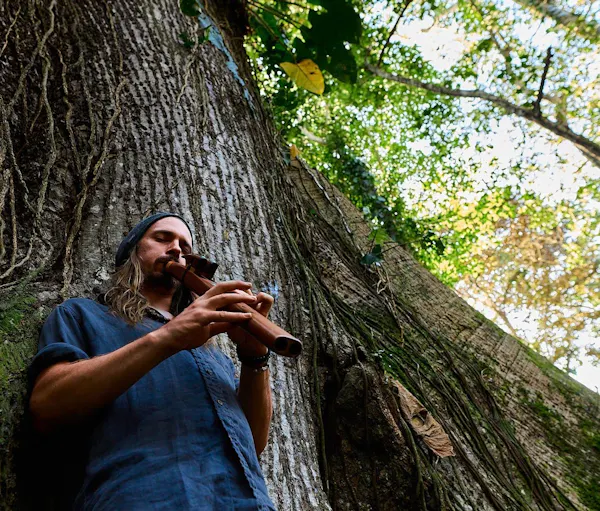 musician, people in nature, musical instrument, flutist