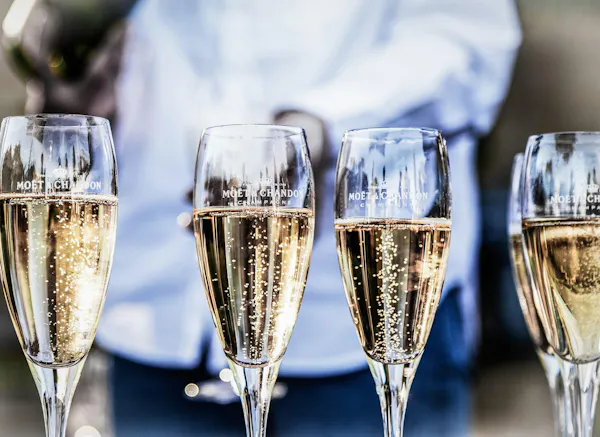 tableware, water, stemware, drinkware, liquid, wine