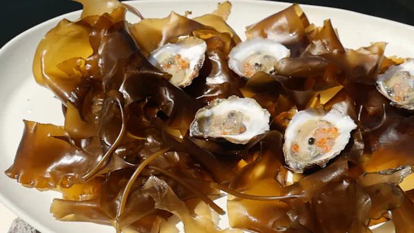 food, ingredient, recipe, staple food, tableware, amber