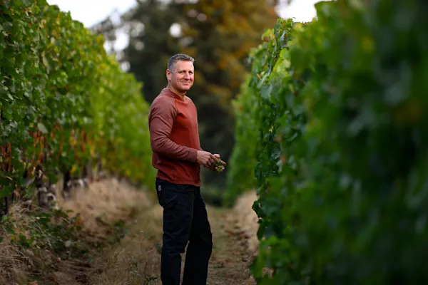 agriculture, people in nature, plantation, vineyard, grapevines, grapes